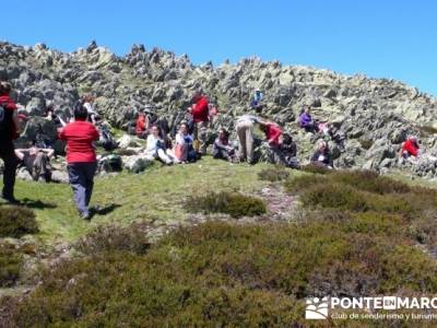 Senderismo Segovia - Macizo de la Buitrera; rutas de senderismo en la sierra de madrid